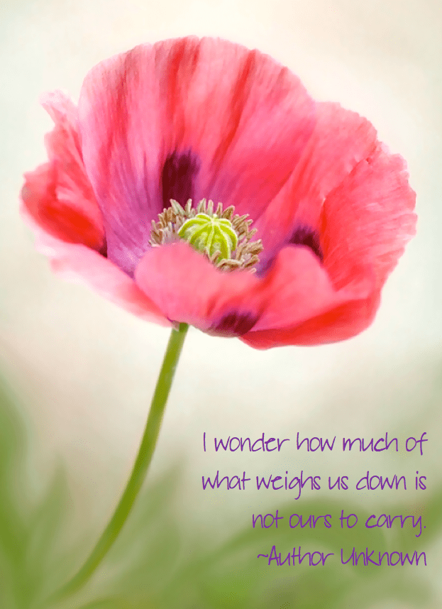 Screen Shot 2016-08-26 at 10.45.27 PM.png