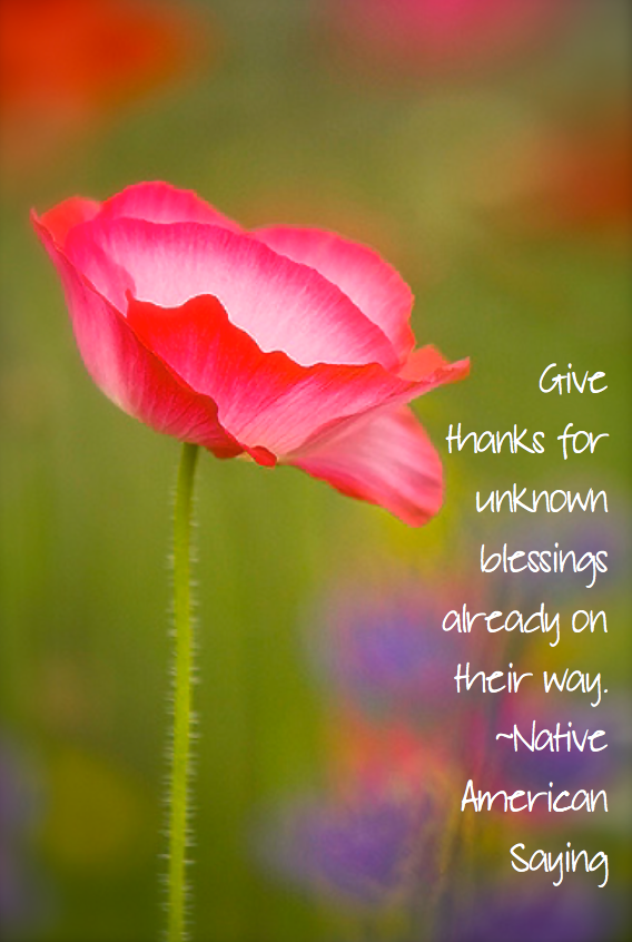 Screen Shot 2016-08-26 at 10.54.24 PM.png