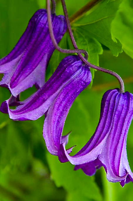 Screen Shot 2016-08-26 at 7.55.21 PM.png