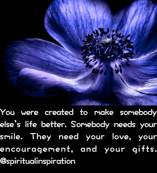 Screen Shot 2016-08-27 at 11.01.52 PM.png