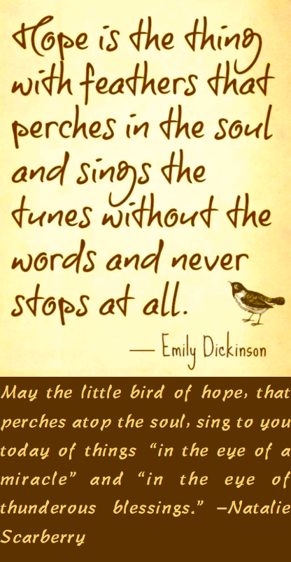 Screen Shot 2016-08-27 at 2.21.13 PM.png