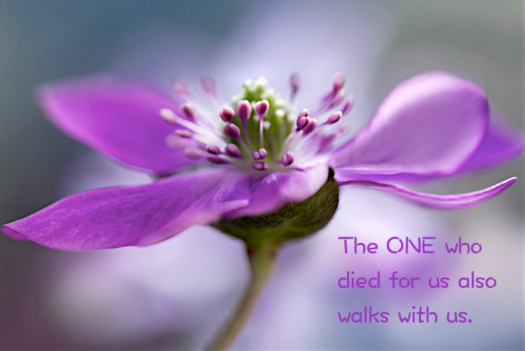 Screen Shot 2016-08-29 at 10.37.38 PM.png