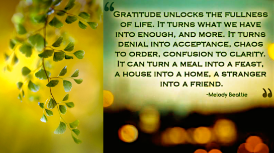 Screen Shot 2016-08-29 at 10.47.50 PM.png