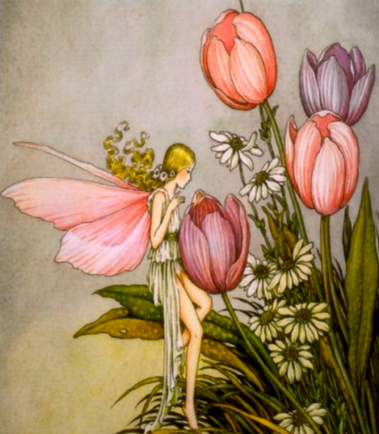 Screen Shot 2016-08-31 at 8.17.58 PM.png