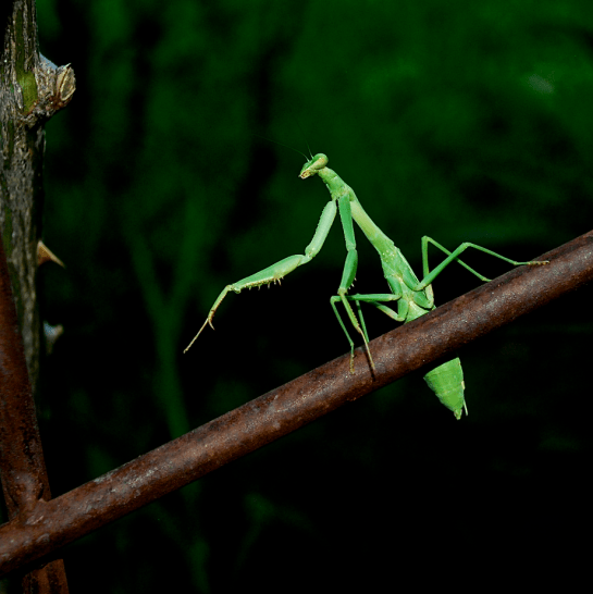 Screen Shot 2016-09-02 at 3.39.07 PM.png