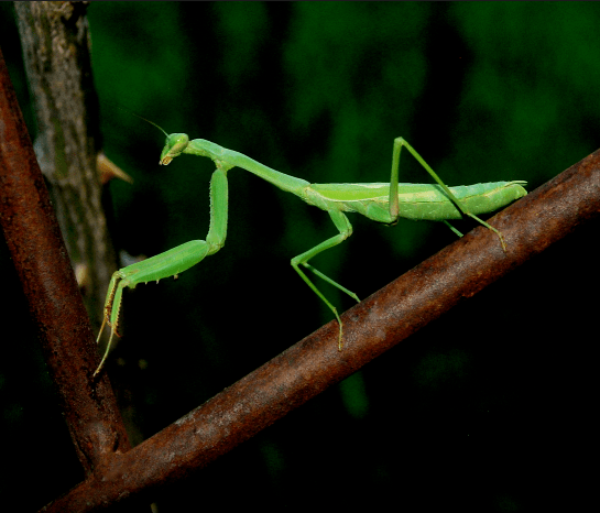 Screen Shot 2016-09-02 at 3.39.48 PM.png