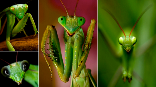 Screen Shot 2016-09-02 at 5.17.05 PM.png