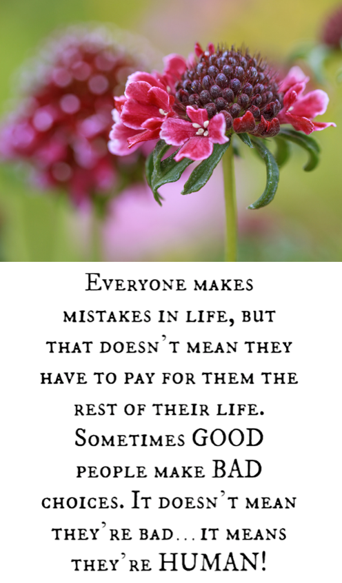 Screen Shot 2016-09-02 at 9.55.14 PM.png