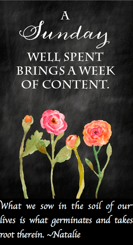 Screen Shot 2016-09-03 at 10.59.16 PM.png