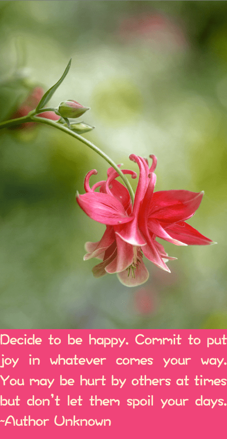 Screen Shot 2016-09-03 at 11.08.48 PM.png