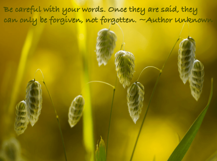 Screen Shot 2016-09-03 at 11.14.48 PM.png