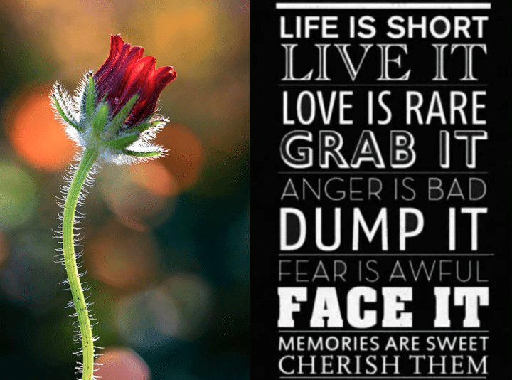 Screen Shot 2016-09-03 at 11.17.00 PM.png