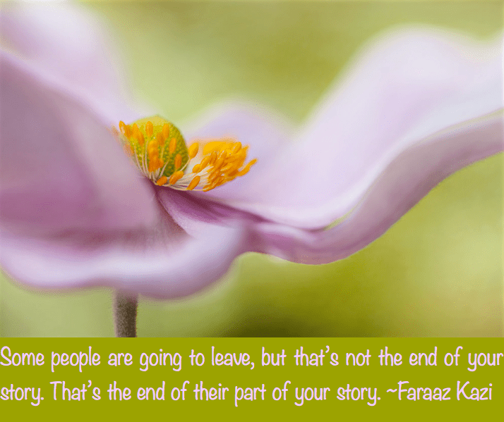 Screen Shot 2016-09-03 at 11.24.37 PM.png