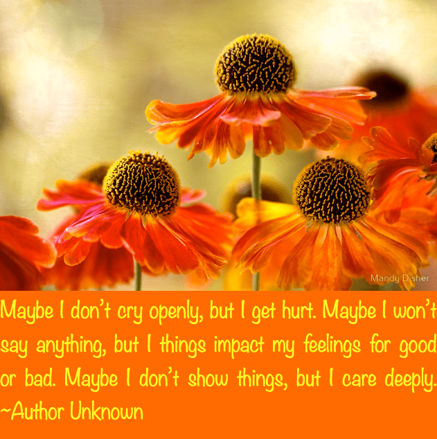 Screen Shot 2016-09-04 at 10.42.40 PM.png