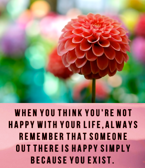 Screen Shot 2016-09-04 at 10.44.53 PM.png