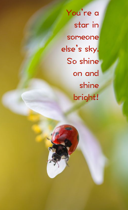 Screen Shot 2016-09-04 at 10.50.24 PM.png