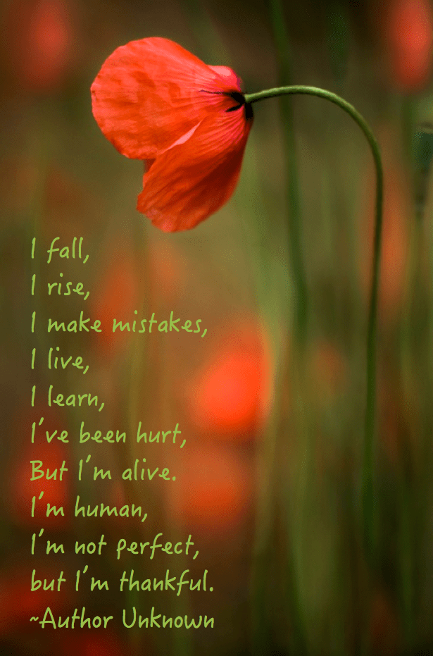 Screen Shot 2016-09-04 at 11.03.44 PM.png