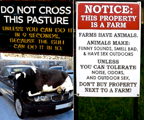 Screen Shot 2016-09-04 at 3.05.43 PM.png