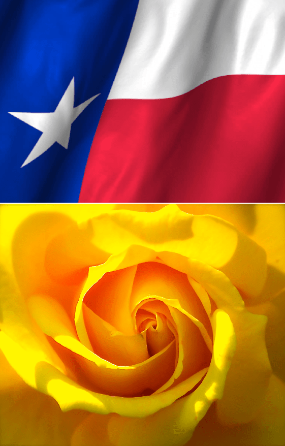 Screen Shot 2016-09-04 at 5.39.11 PM.png