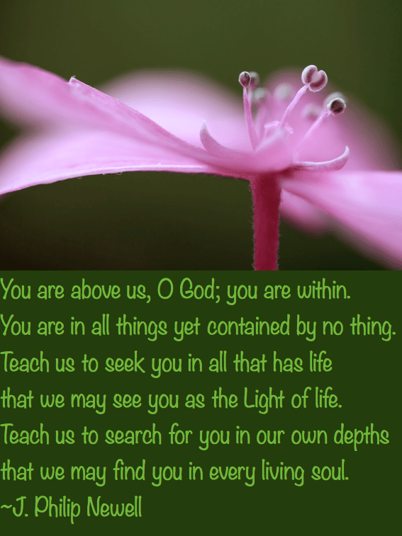 Screen Shot 2016-09-05 at 10.36.28 PM.png