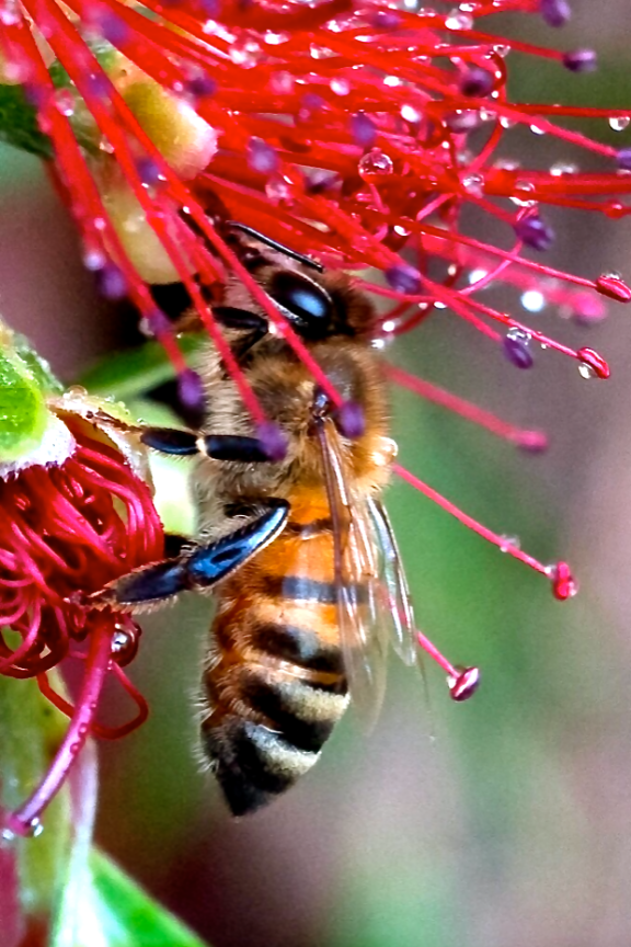 Screen Shot 2016-09-06 at 4.10.20 PM.png