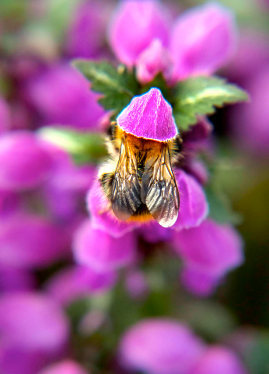 Screen Shot 2016-09-06 at 4.18.35 PM.png