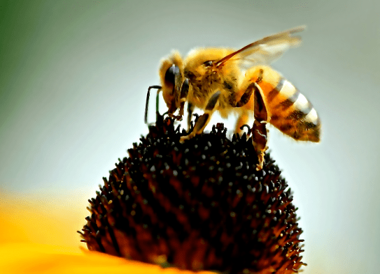 Screen Shot 2016-09-06 at 4.25.53 PM.png