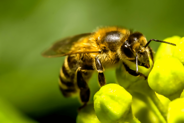 Screen Shot 2016-09-06 at 4.30.21 PM.png