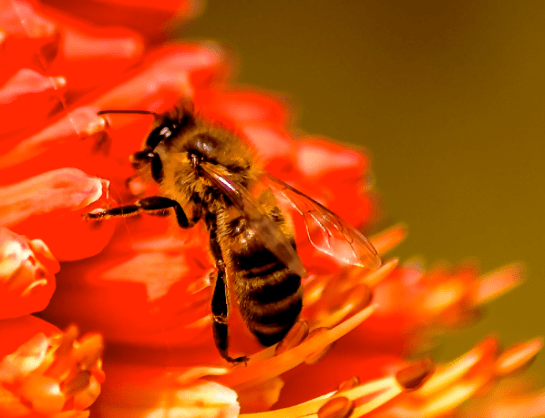 Screen Shot 2016-09-06 at 7.00.03 PM.png