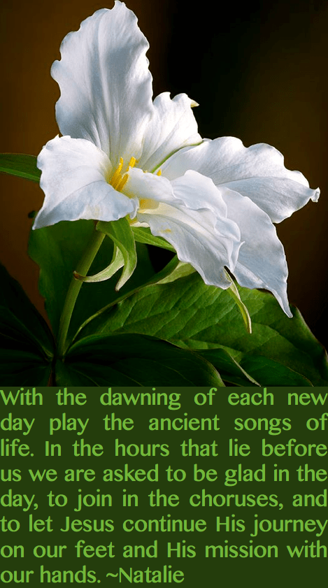 Screen Shot 2016-09-08 at 10.54.26 PM.png