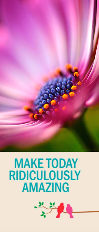 Screen Shot 2016-09-08 at 5.19.50 PM.png