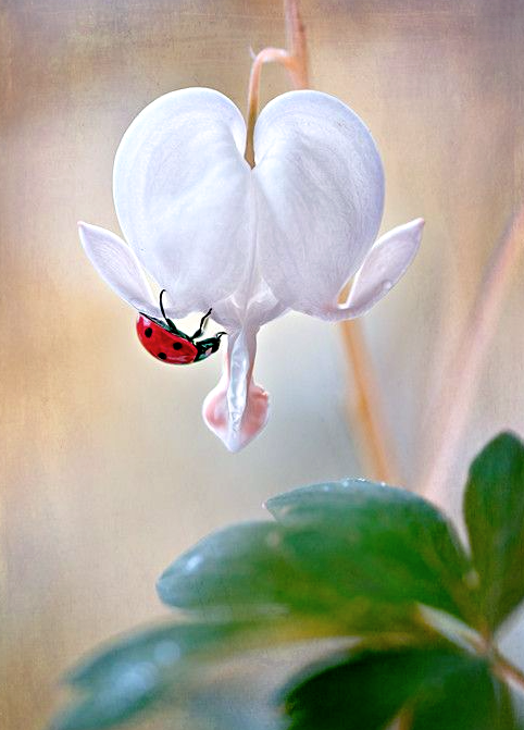 Screen Shot 2016-09-08 at 8.38.33 PM.png