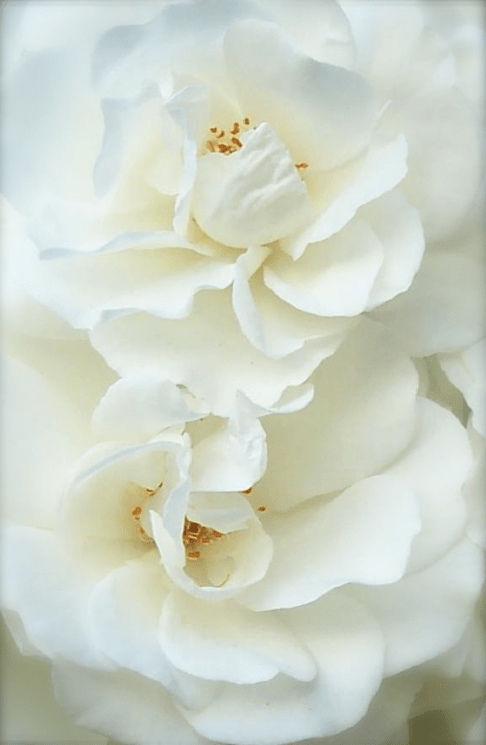 Screen Shot 2016-09-08 at 8.38.47 PM.png