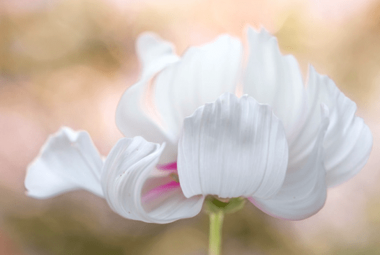 Screen Shot 2016-09-08 at 8.40.19 PM.png