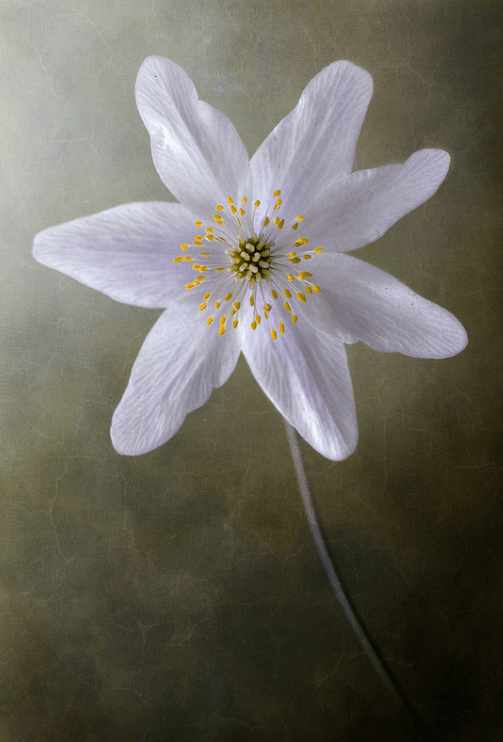 Screen Shot 2016-09-08 at 8.40.36 PM.png