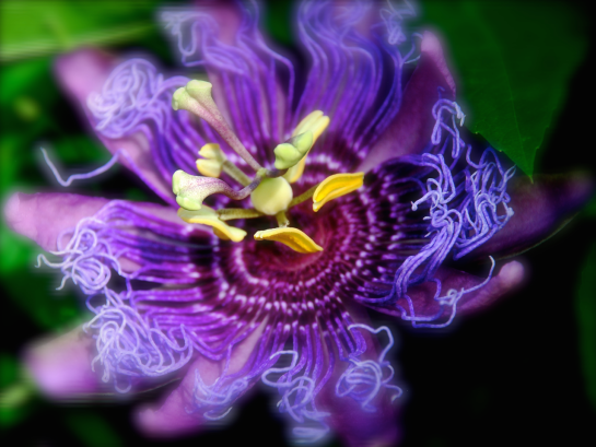 Screen Shot 2016-09-09 at 8.31.42 PM.png