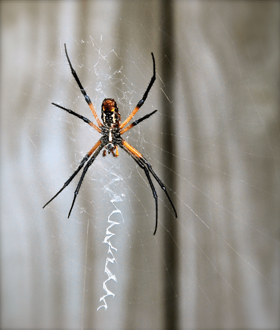 Screen Shot 2016-09-09 at 8.32.10 PM.png