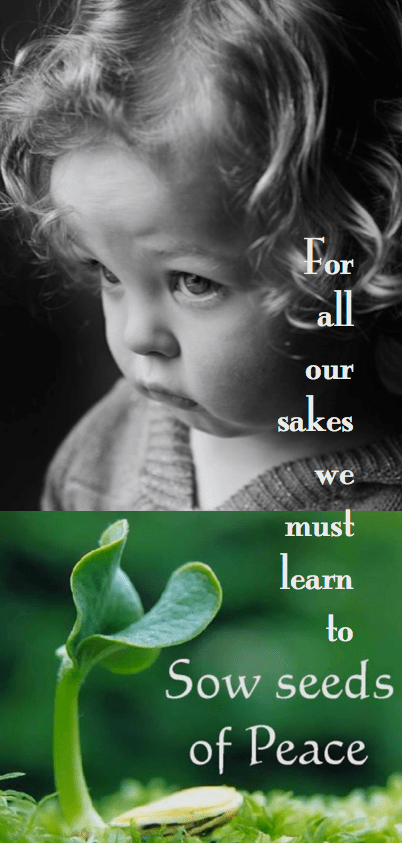 Screen Shot 2016-09-11 at 10.19.32 PM.png