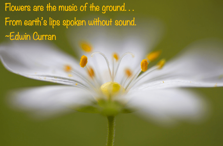 Screen Shot 2016-09-11 at 10.33.42 PM.png