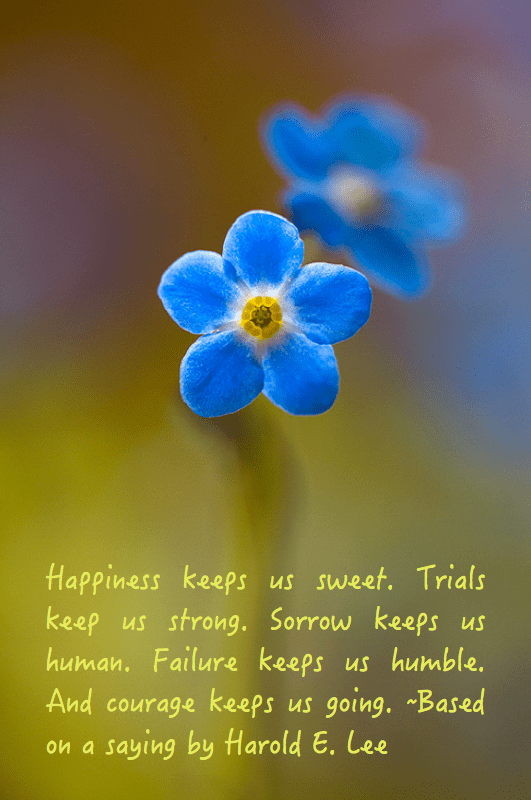 Screen Shot 2016-09-11 at 10.39.19 PM.png