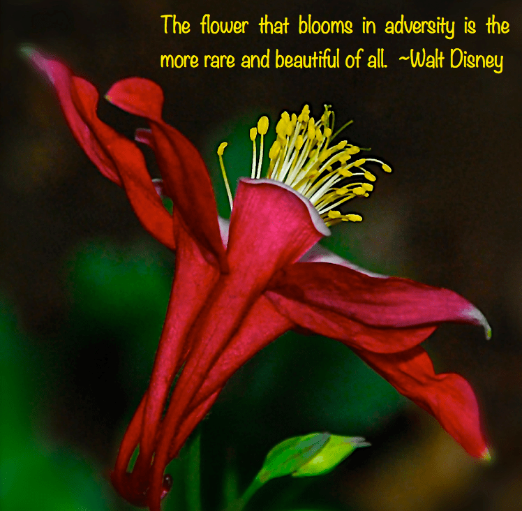 Screen Shot 2016-09-11 at 10.52.49 PM.png