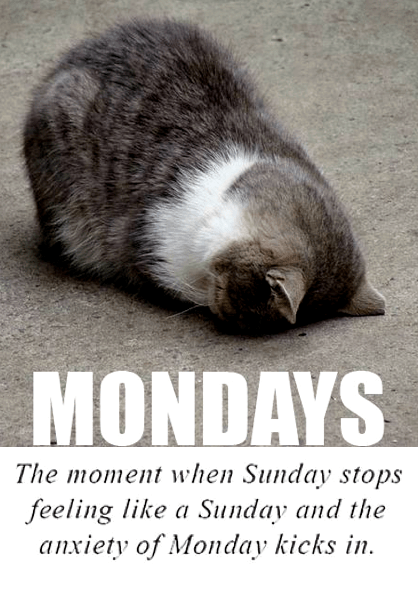 Screen Shot 2016-09-11 at 9.04.57 PM.png