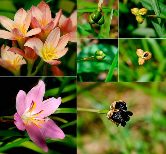 Screen Shot 2016-09-12 at 5.39.24 PM.png