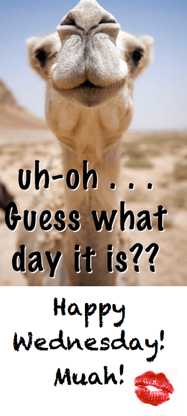 Screen Shot 2016-09-13 at 10.52.40 PM.png