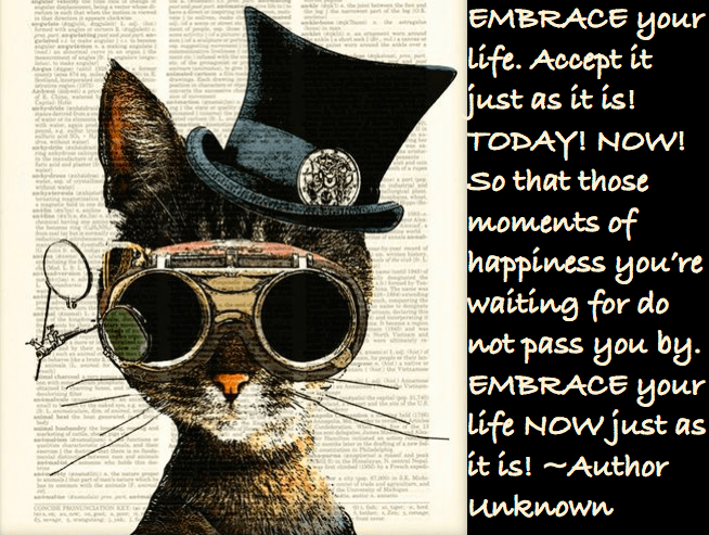 Screen Shot 2016-09-15 at 10.44.05 PM.png