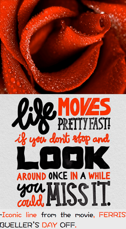 Screen Shot 2016-09-15 at 10.56.55 PM.png