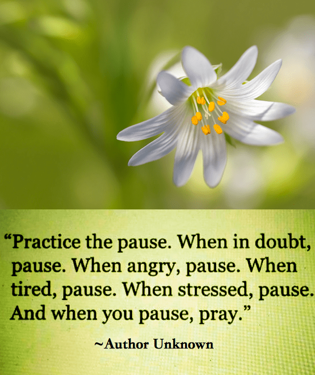 Screen Shot 2016-09-15 at 3.26.07 PM.png