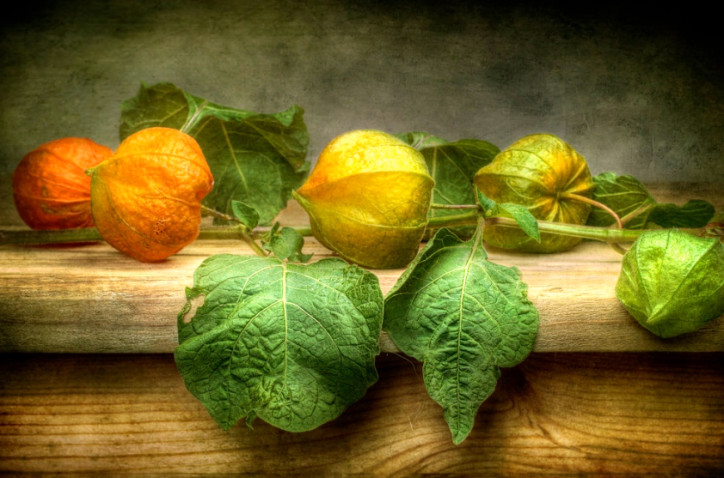 Screen Shot 2016-09-15 at 8.53.27 PM.png