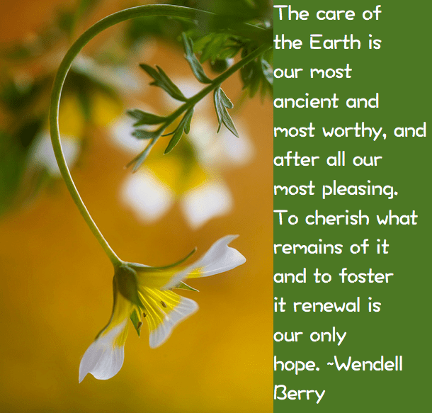 Screen Shot 2016-09-16 at 10.02.49 PM.png