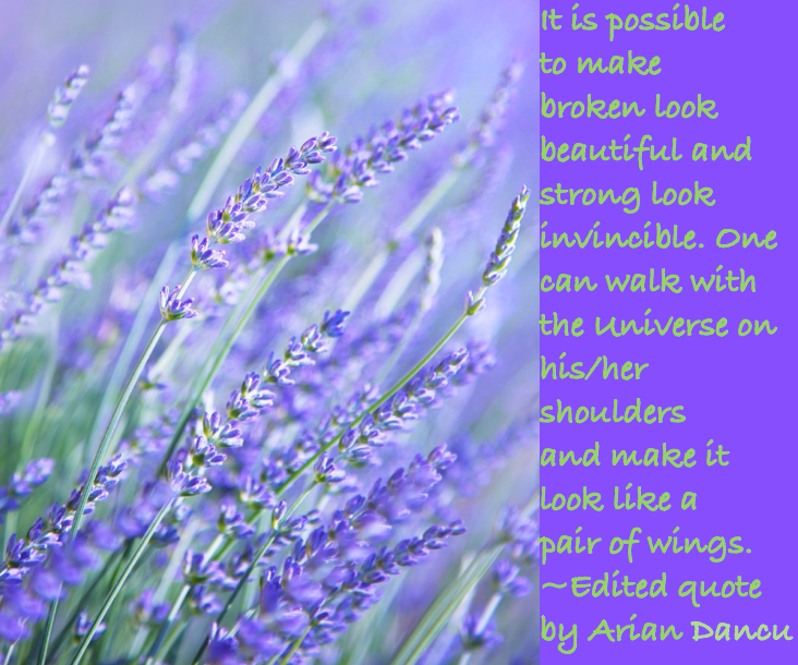 Screen Shot 2016-09-16 at 10.16.10 PM.png